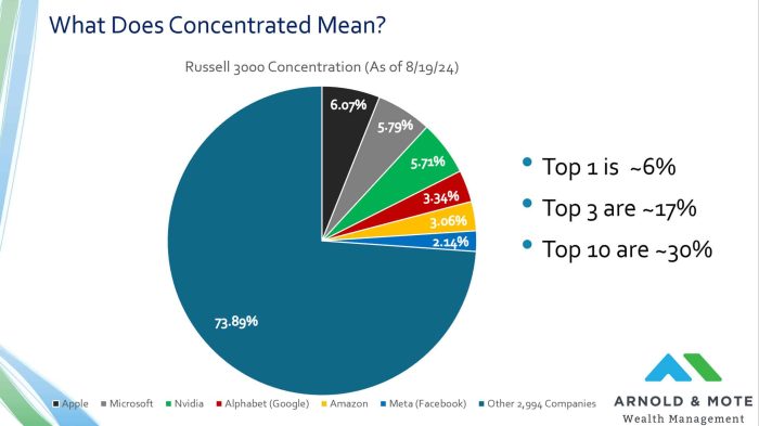 pie chart showing current levels of stock market concentration